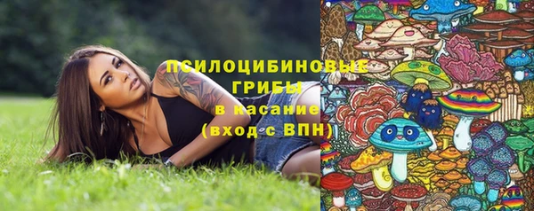 PSILOCYBIN Вязники