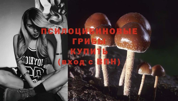 амфетамин Гусиноозёрск